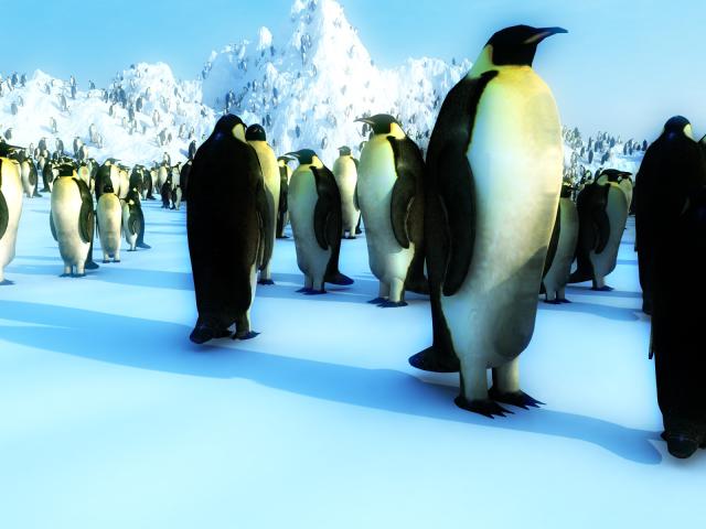 pinguin[1].jpg